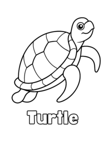 Turtle outline with name
