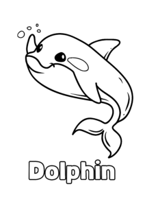 Dolphin outline with name